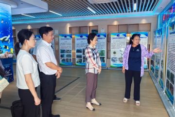 北海市市长李莉一行来我所调研考察